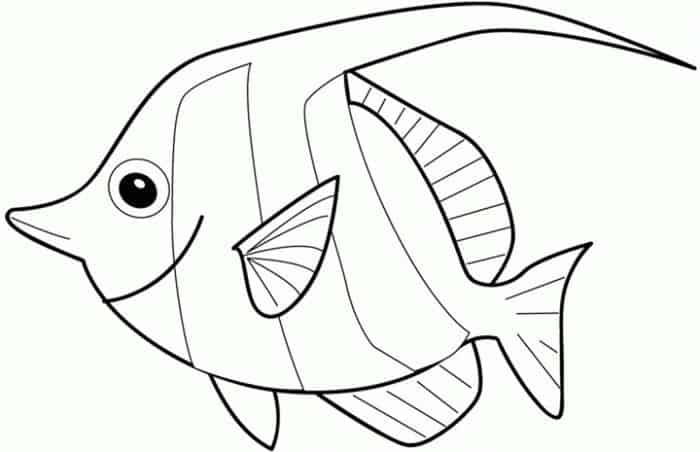 Angel Fish Coloring Pages