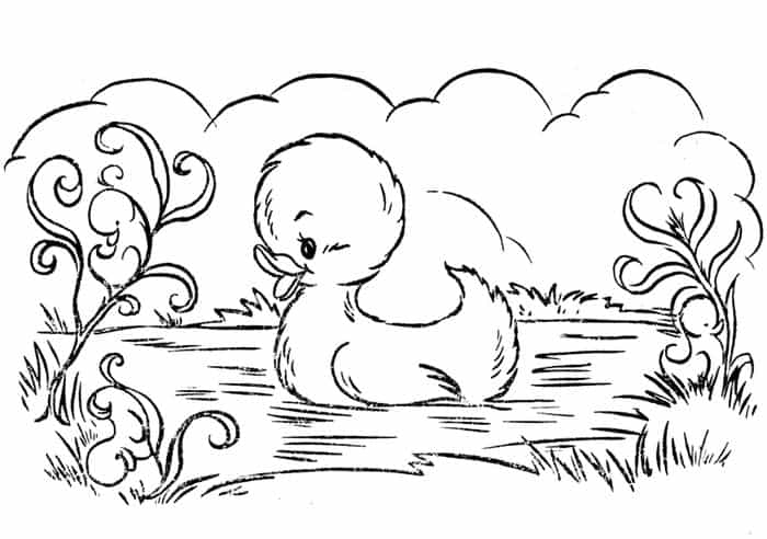 Anima Duck Coloring Pages