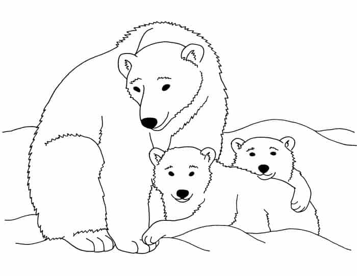Baby Bear Coloring Pages