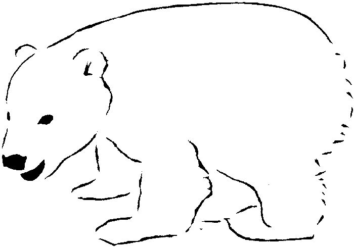 Baby Polar Bear Coloring Pages