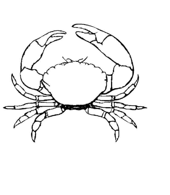 Beach Crab Coloring Pages