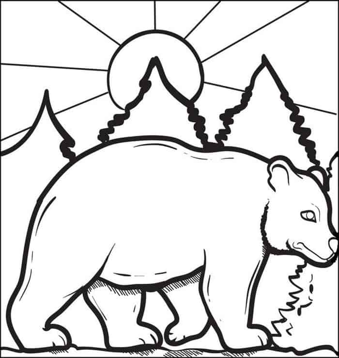 Bear Coloring Pages For Adults