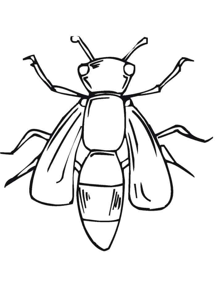 Bee Gees Coloring Pages
