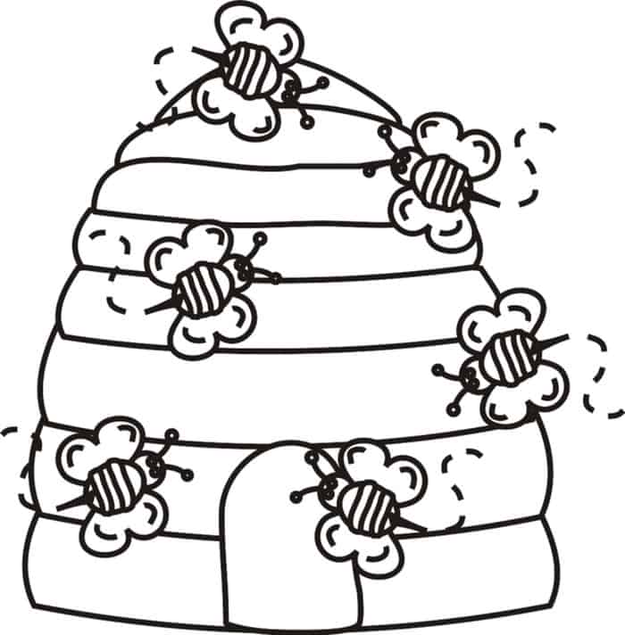 Bee Information And Coloring Pages