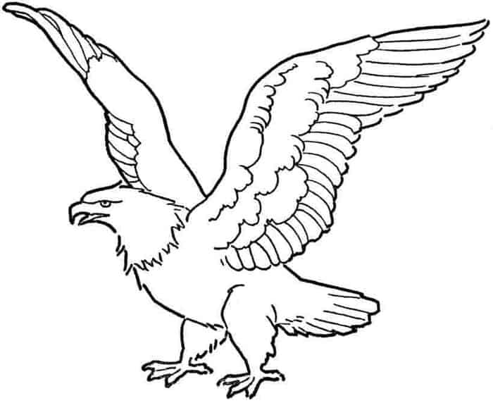 Best Teacher Coloring Pages With Animals Eagle