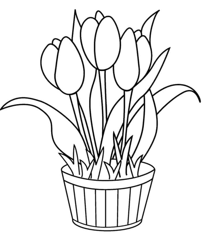 Big Tulip Flower Coloring Pages