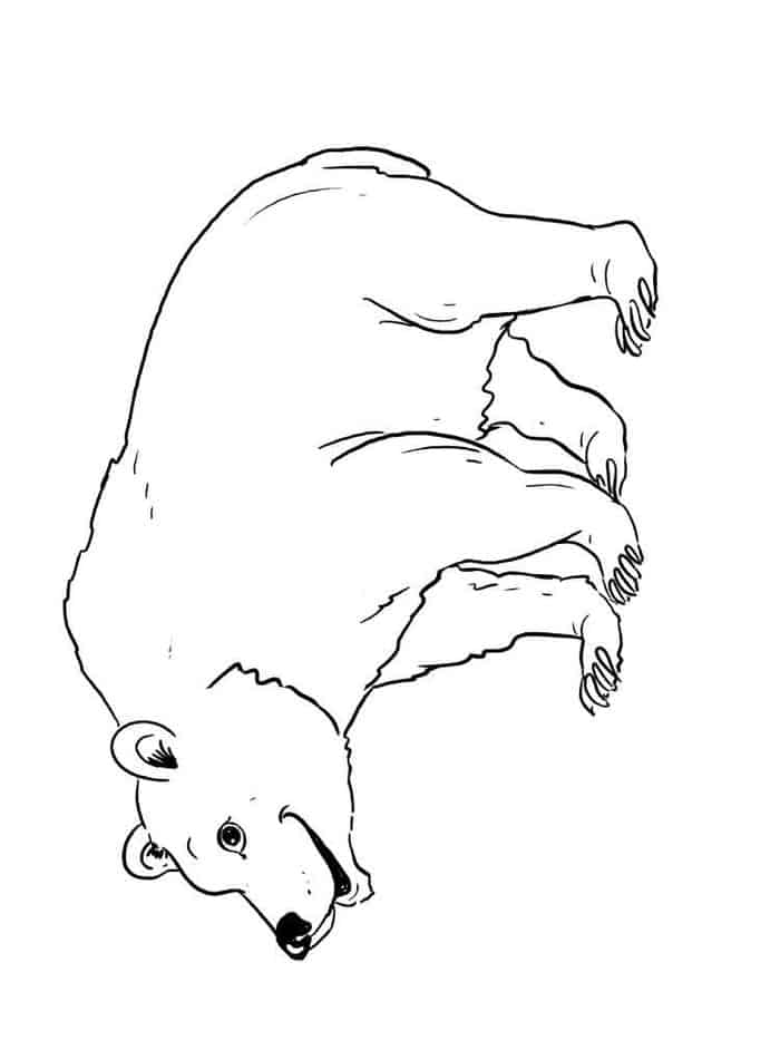 Black Bear Coloring Pages