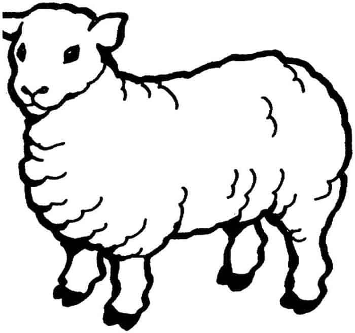 Black Sheep Coloring Pages