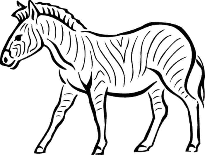 Carousel Zebra Coloring Pages