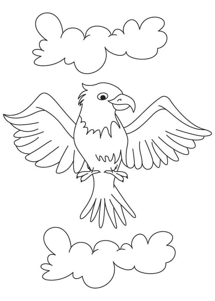 Cartoon Eagle Coloring Pages