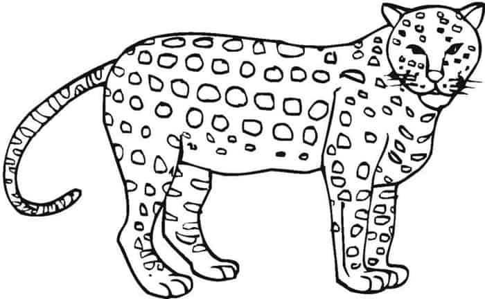 Cheetah Croos Coloring Pages Hard