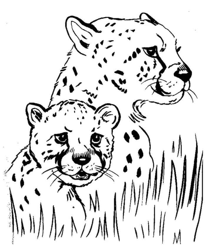 Cheetah Girls Coloring Pages