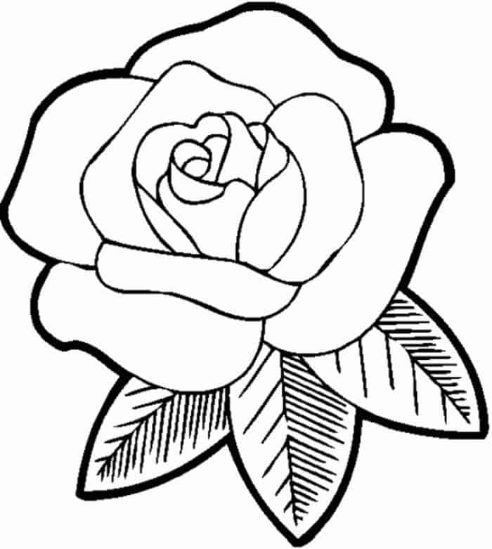 Coloring Book Pages Flowers