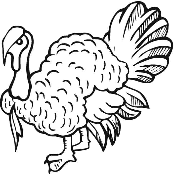 Coloring Book Pages Turkey