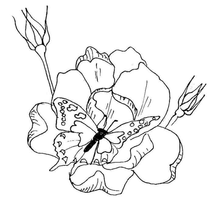 Coloring Pages Flowers And Butterflies
