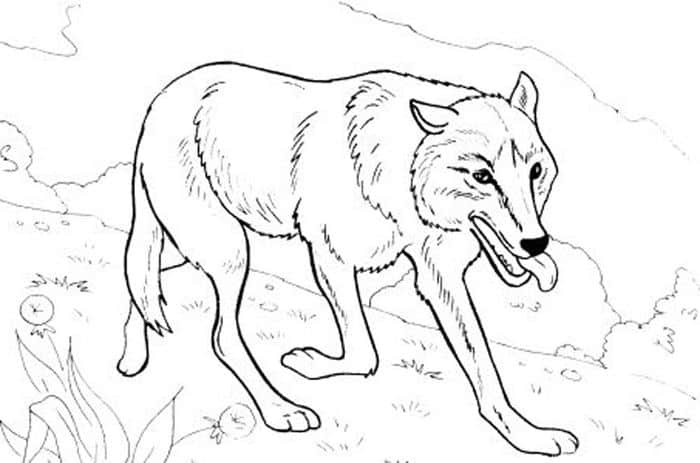 Coloring Pages For Adults Difficult Wolves