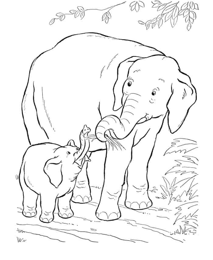 Coloring Pages For Adults Elephant