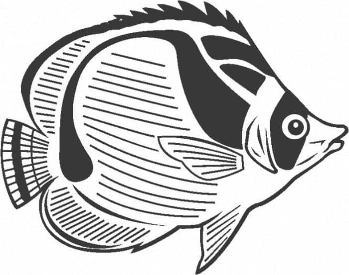Coloring Pages For Adults Fish
