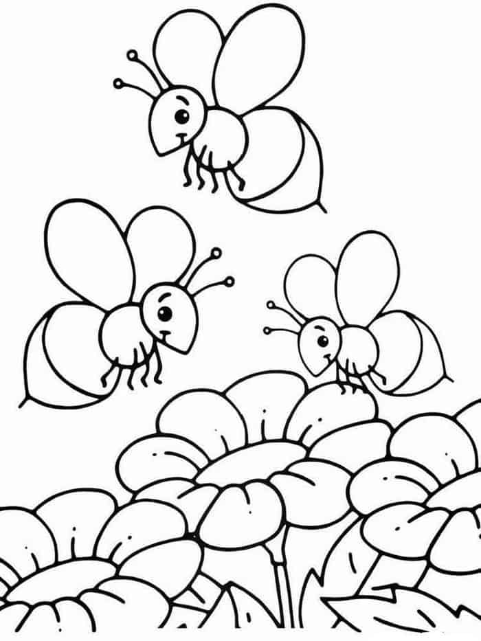 Coloring Pages Honey Bee
