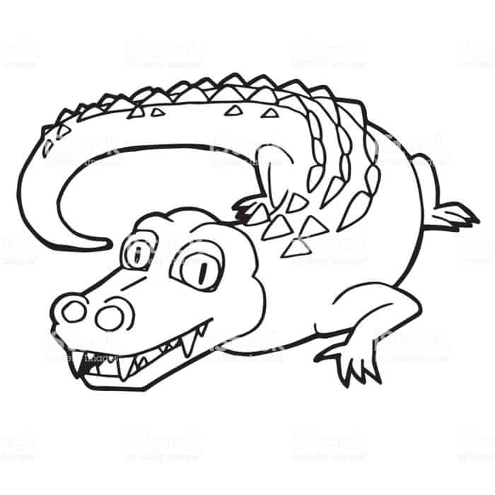 Coloring Pages Of A Crocodile