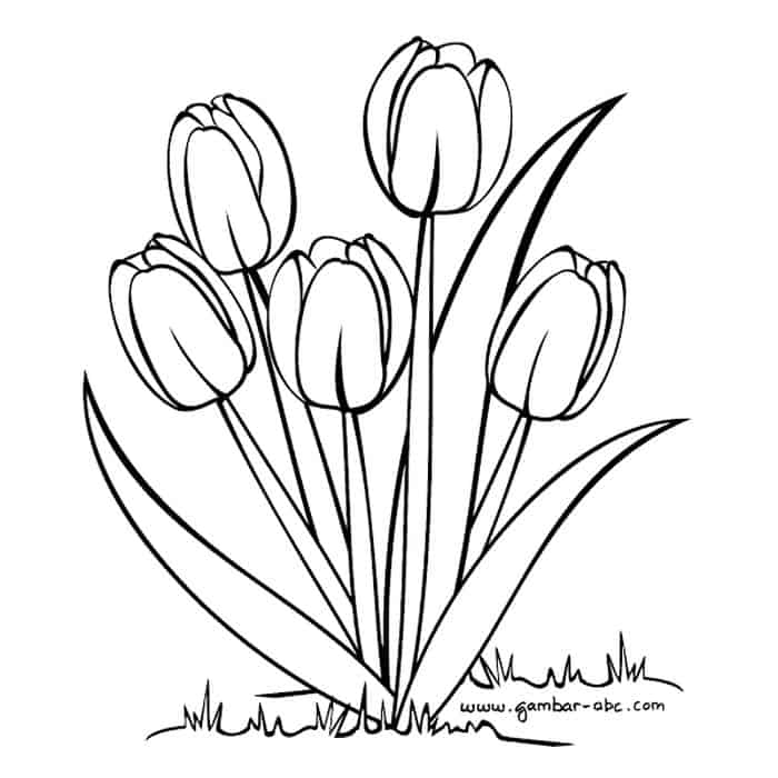 Coloring Pages Of A Tulip Tree