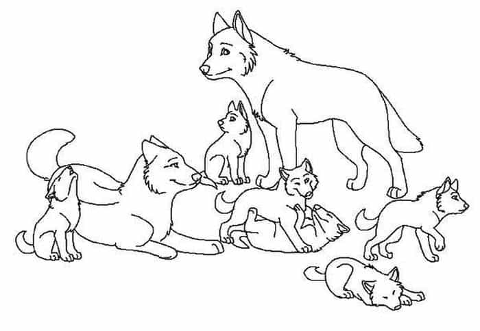 Coloring Pages Of Baby Wolves