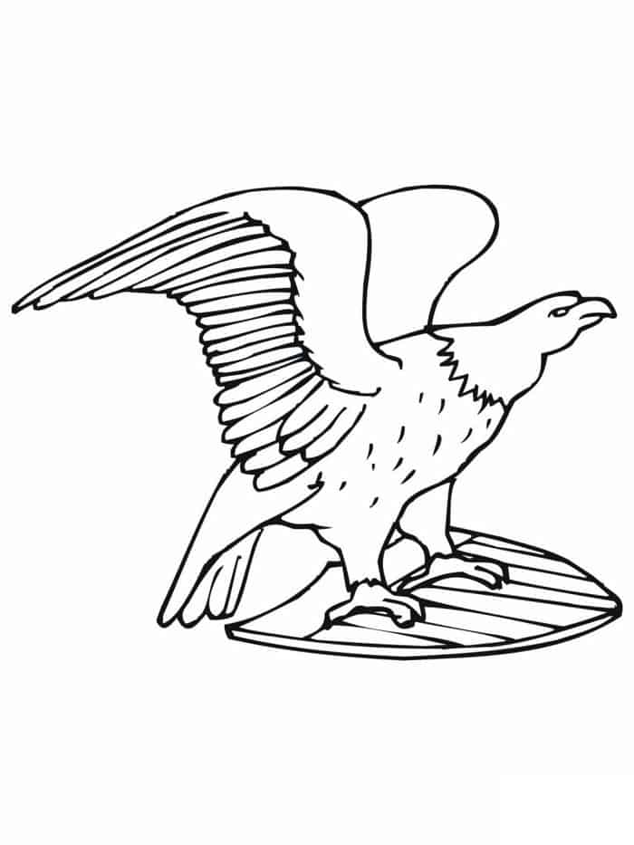 Coloring Pages Of Bald Eagle