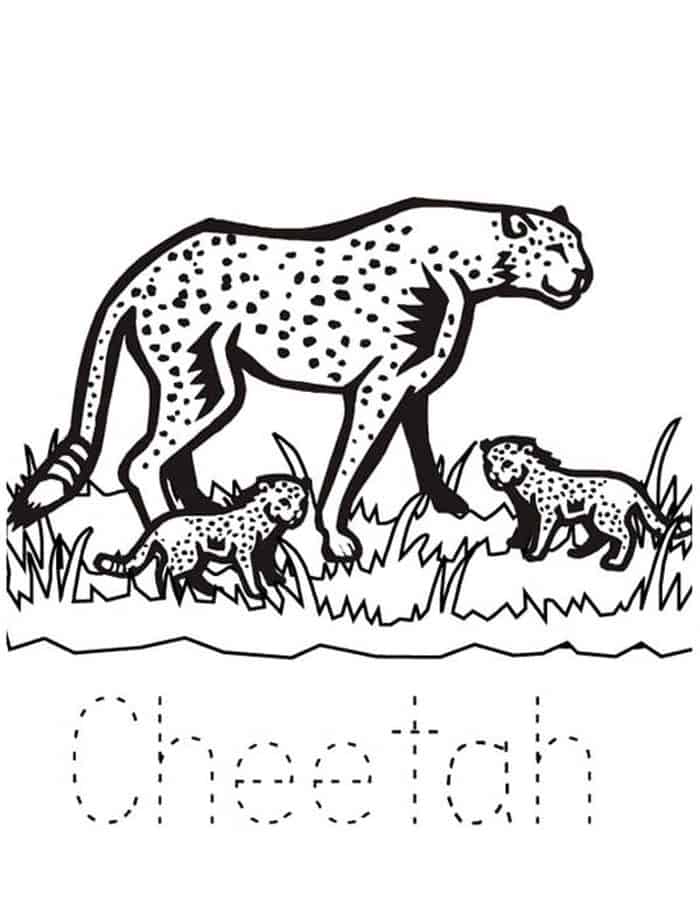 Coloring Pages Of Cheetah Print Letter S