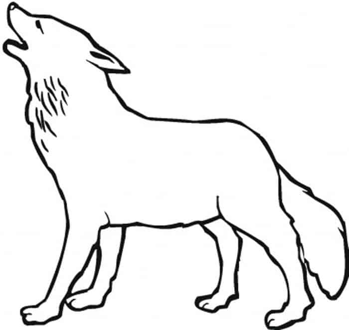 Coloring Pages Of Cute Wolves