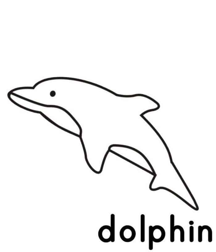 Coloring Pages Of Dolphin