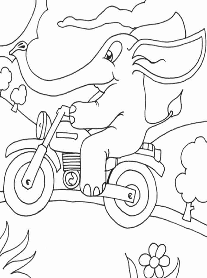 Coloring Pages Of Elephant