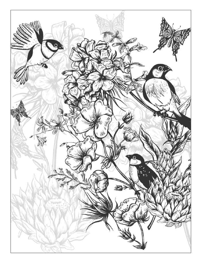 Coloring Pages Of Flowers And Butterflies