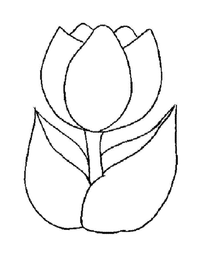 Coloring Pages Of Flowers And Roses