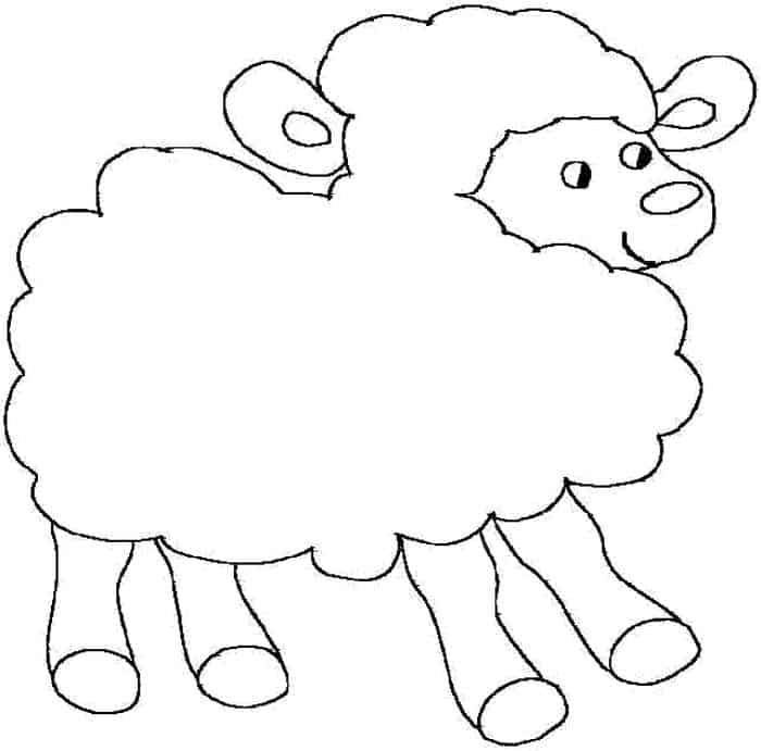 Coloring Pages Sheep Lambs