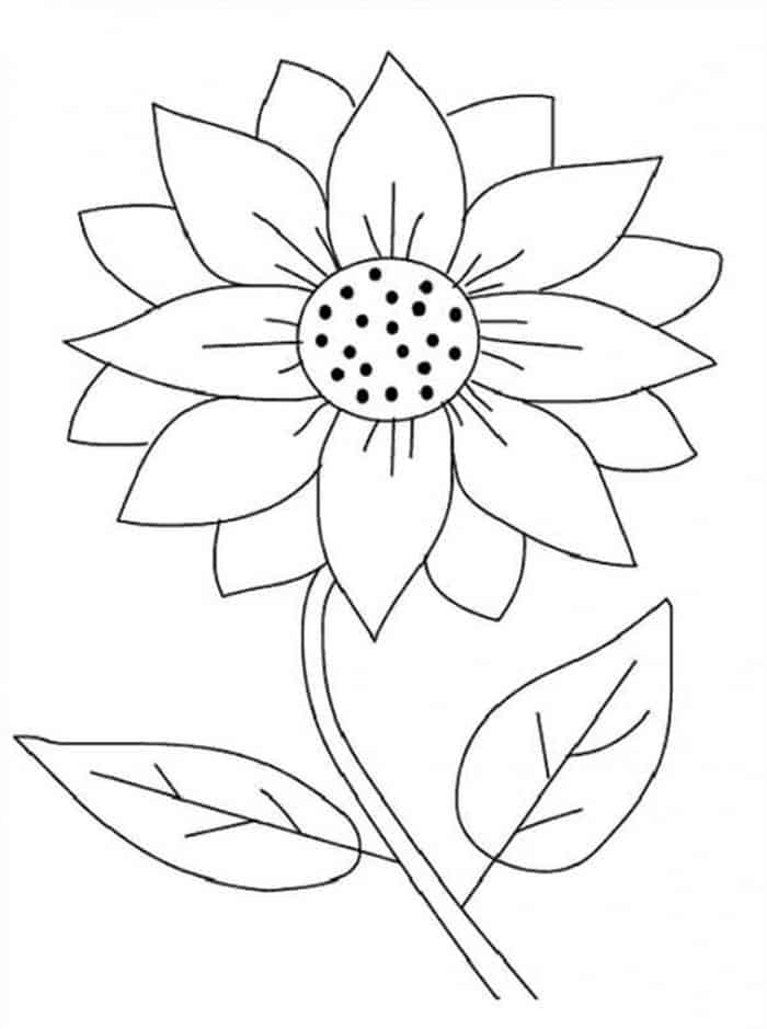 Coloring Pages Sunflower