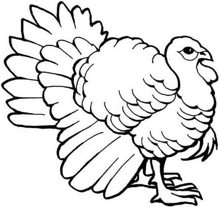 Coloring Pages Turkey