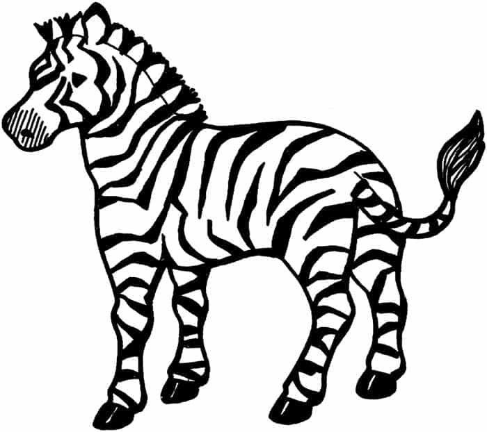 Coloring Pages Zebra
