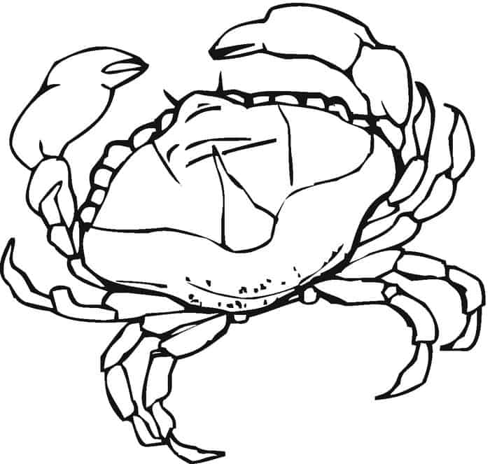 Crab Fish Coloring Pages