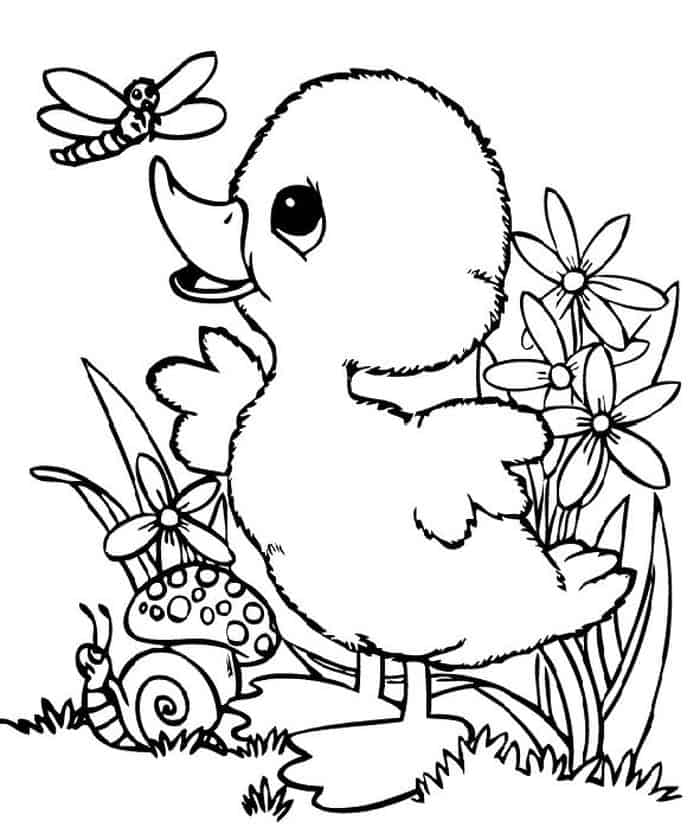 Cute Baby Duck Coloring Pages