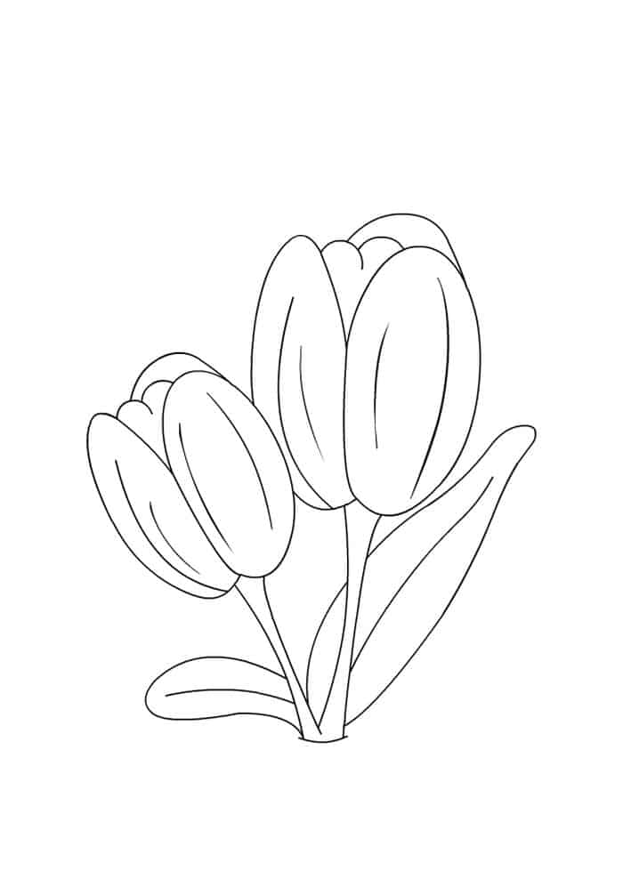 Cute Tulip Coloring Pages