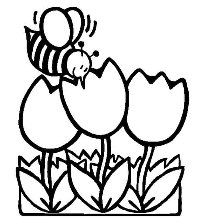 Cute Tulip Flower Coloring Pages