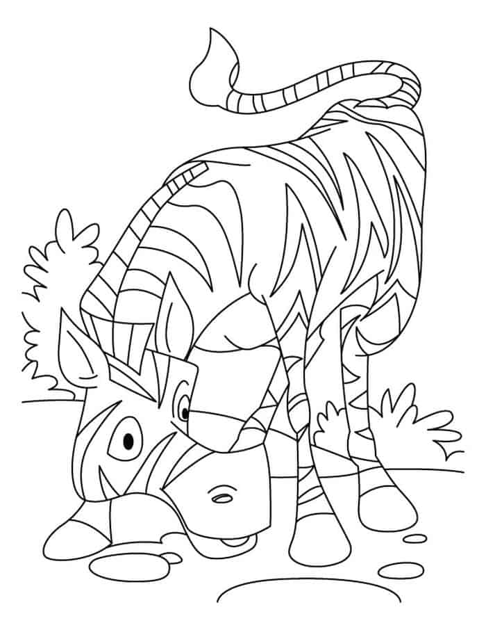 Cute Zebra Coloring Pages