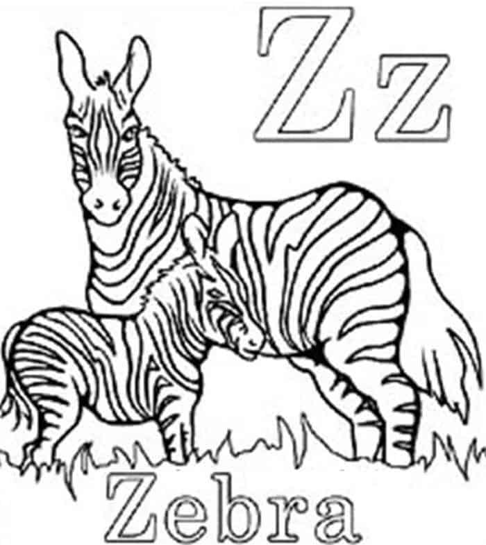 Cuties Zebra Alphabet Coloring Pages