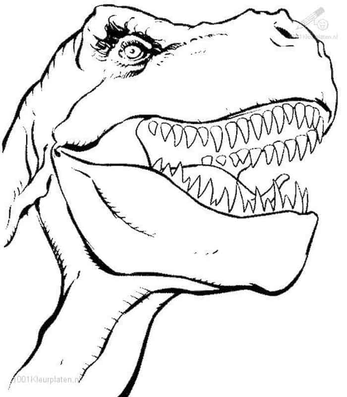 Dinosaurs T Rex Coloring Pages