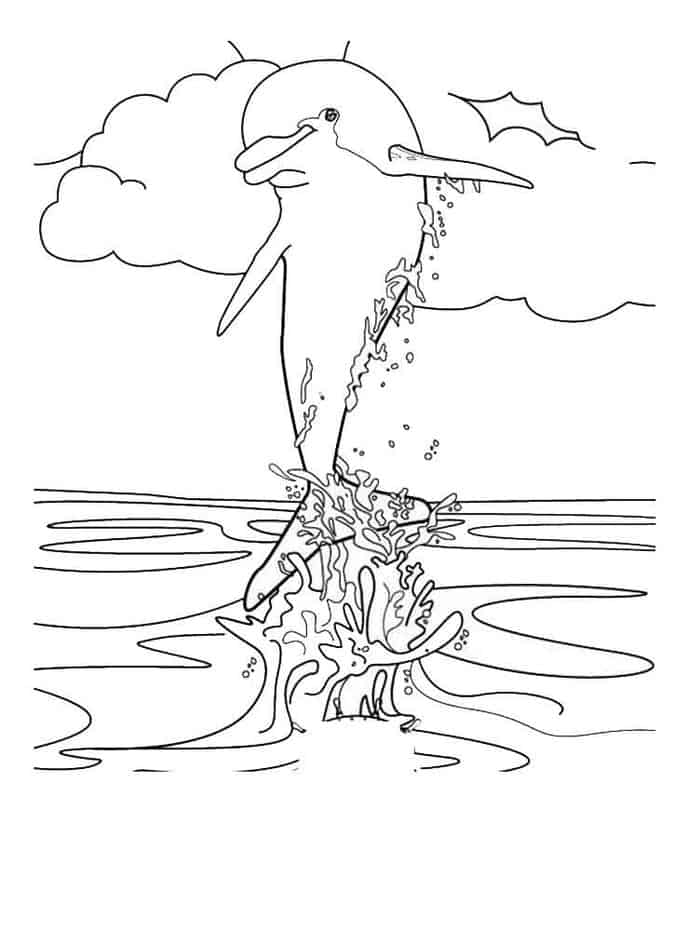 Dolphin Coloring Book Pages