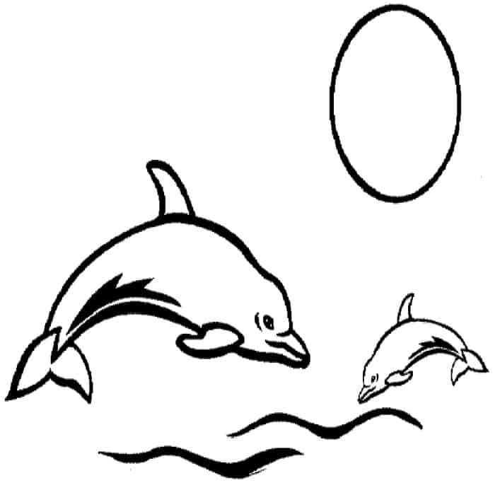 Dolphin Coloring Pages Pdf