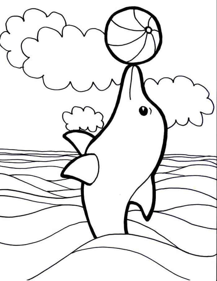 Dolphin Coloring Pages To Print Out