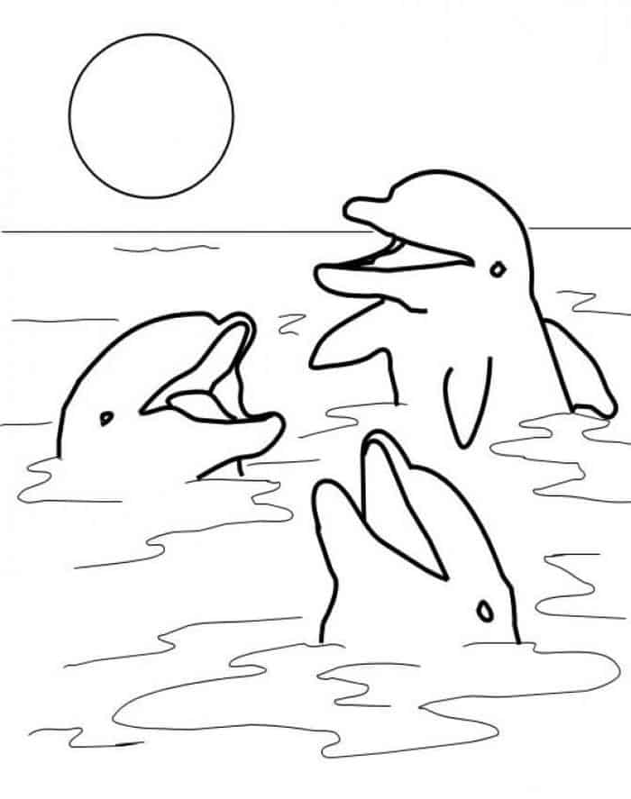 Dolphin Tales Coloring Pages