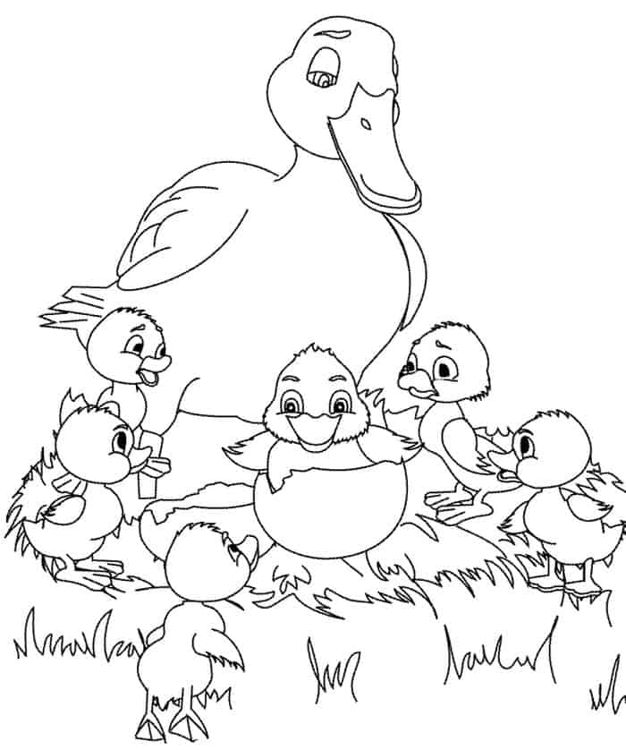 Duck Coloring Book Pages