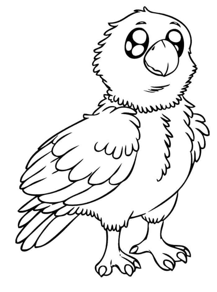 Eagle Baby Coloring Pages